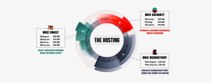 Oplatí sa prejsť na The Hosting z Custom hostingu?